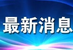 穩增長 促發展 強信心 | “箱”聚春天 “包”您滿意